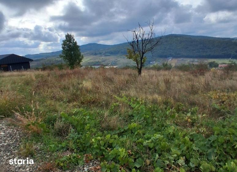 Teren de 463 mp, în Tomești