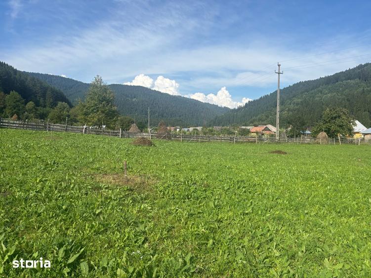 Teren de 7100 mp, în Grințieș