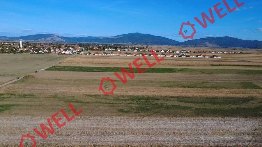 Teren agricol extravilan de 10000 mp, în Prejmer