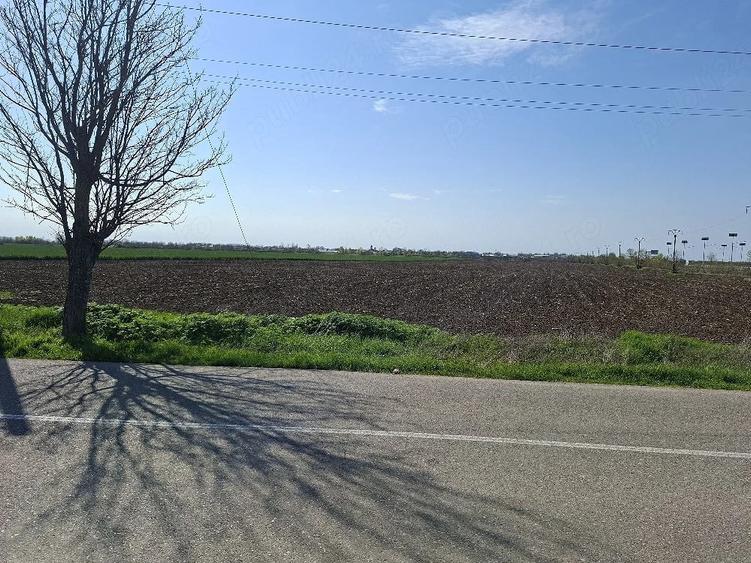 Spațiu comercial, în Căldărușeanca