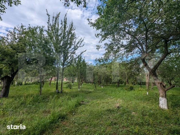 Casă cu 2 camere cu Teren 2111 Mp în Mihai Viteazu