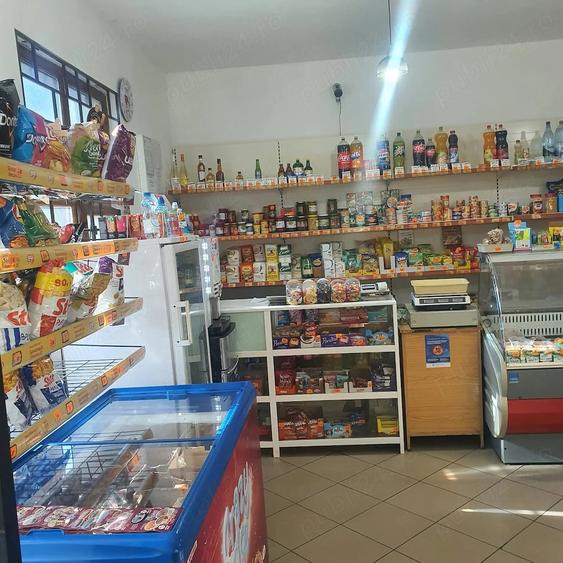 Casă cu Teren 1240 Mp în Central