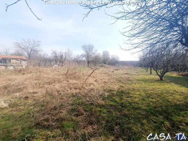 Casă individuală cu 3 camere cu Canalizare în Arcani