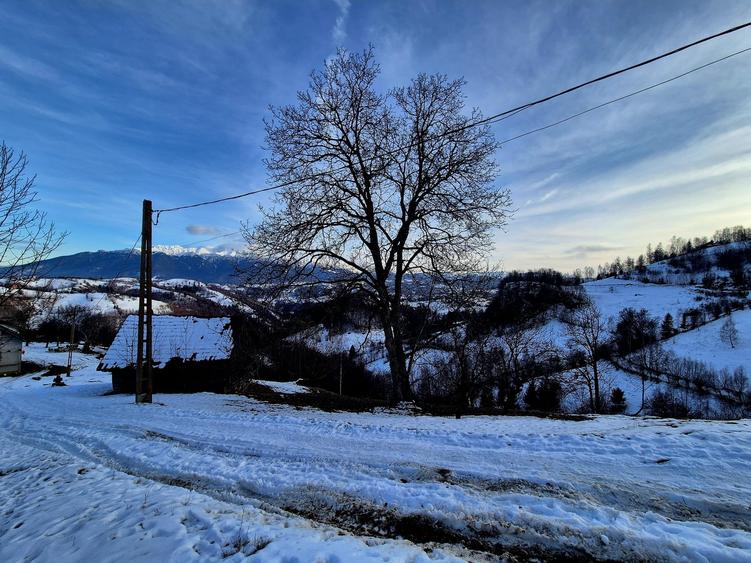 Teren Construcții intravilan de 4318 mp, în Șimon