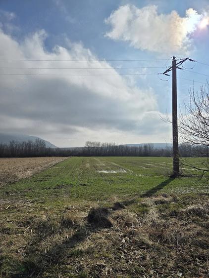 Teren de 3000 mp, în Sântămăria-Orlea