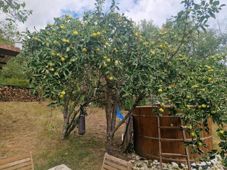 Casă cu 3 camere în Ginta