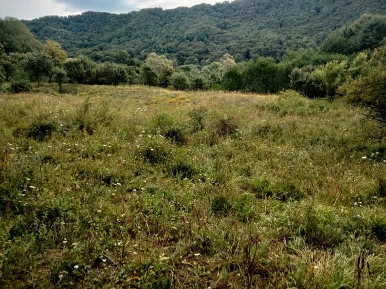 Teren de 1400 mp, în Central