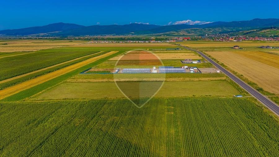 Teren Construcții intravilan de 7500 mp, în Tărlungeni