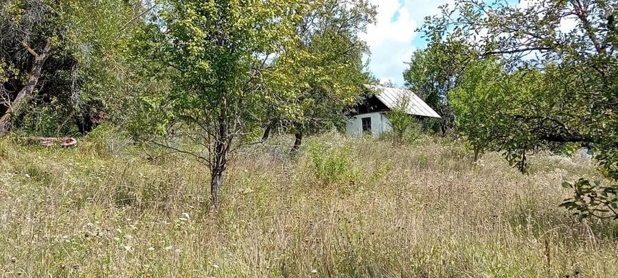 Casă cu Teren 12000 Mp în Suslănești