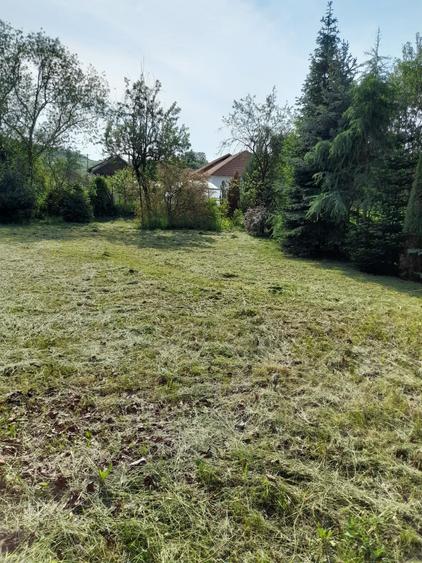 Casă cu 3 camere în Valcău de Jos