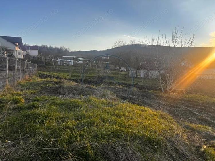 Teren Intravilan 700mp valea jelnei - 7