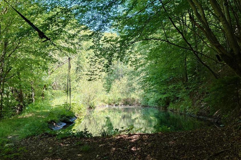 Casă cu 7 camere cu Teren 5000 Mp în Bulzeștii de Sus