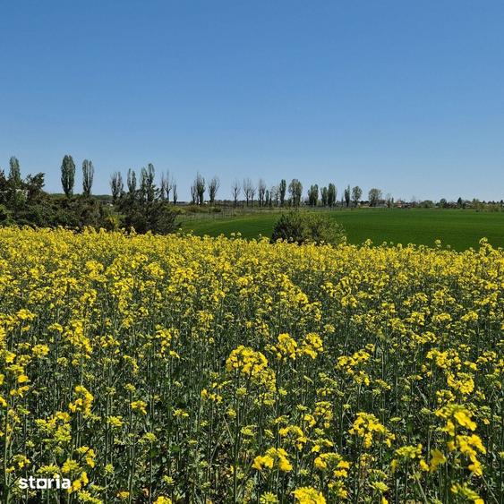 Teren de 5000 mp, în Ciolpani