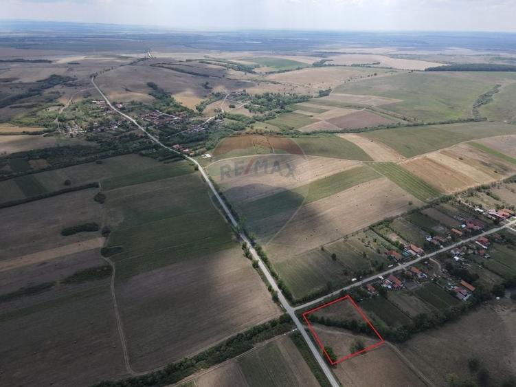 Teren Construcții intravilan de 4215 mp, în Teș