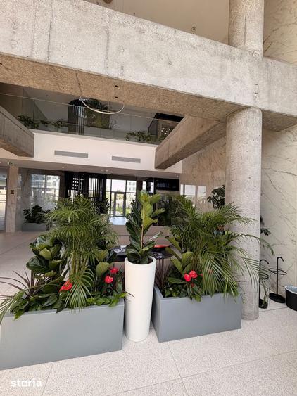 Apartament cu 3 camere în Floreasca