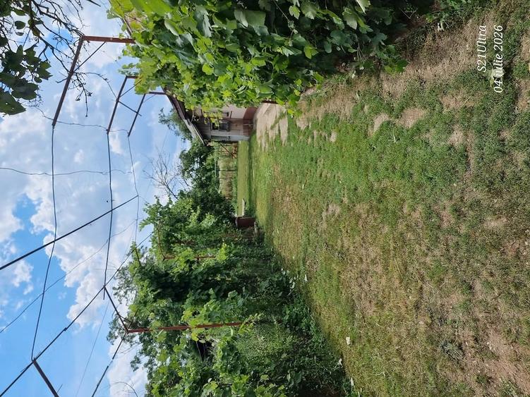 Casă cu 3 camere cu Teren 2138 Mp în Satu Nou