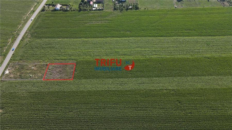 Teren Construcții intravilan de 1000 mp, în Ighiu