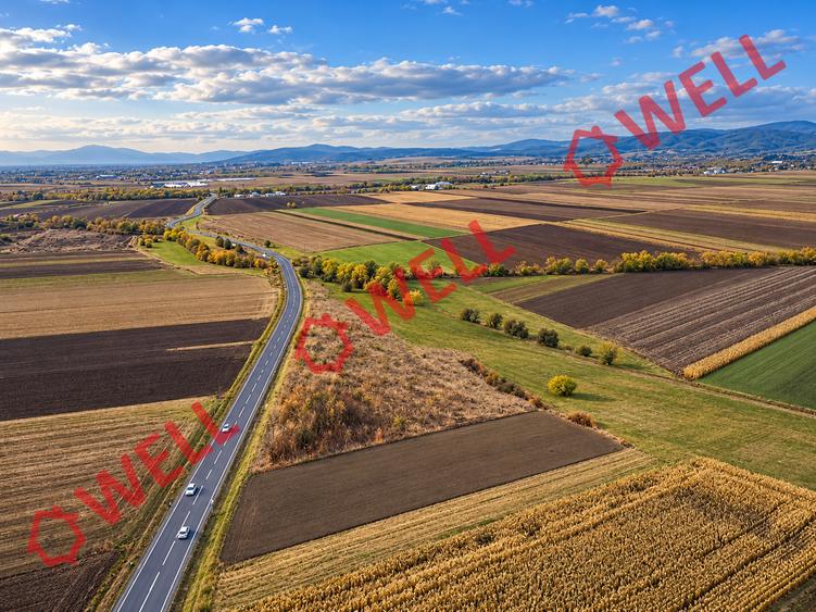 Teren extravilan de 11300 mp, în Bodoc