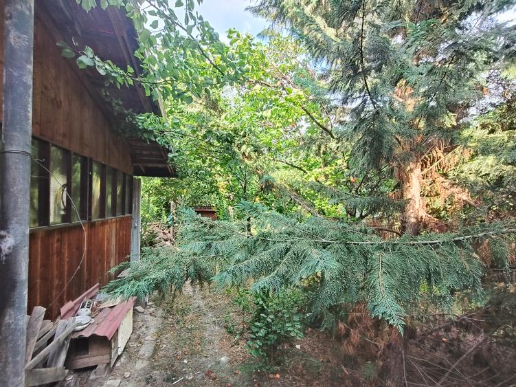 Casă individuală cu 4 camere cu Teren 580 Mp în Elisabetin
