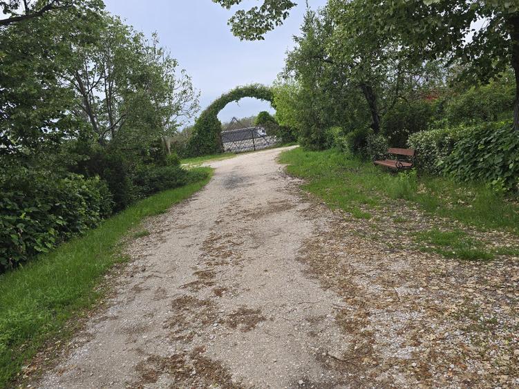 Teren de 38464 mp, în Beharca