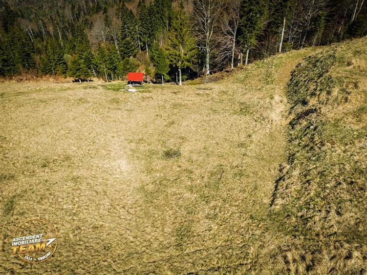 Teren Construcții intravilan de 5800 mp, în Ojdula