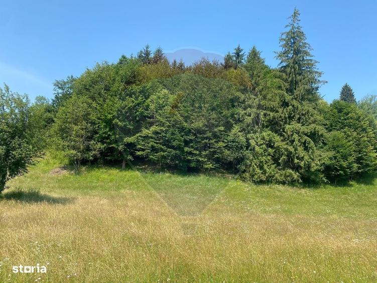 Teren Extravilan 4,306 mp in Vama Buzaului la Strada Principala - 6