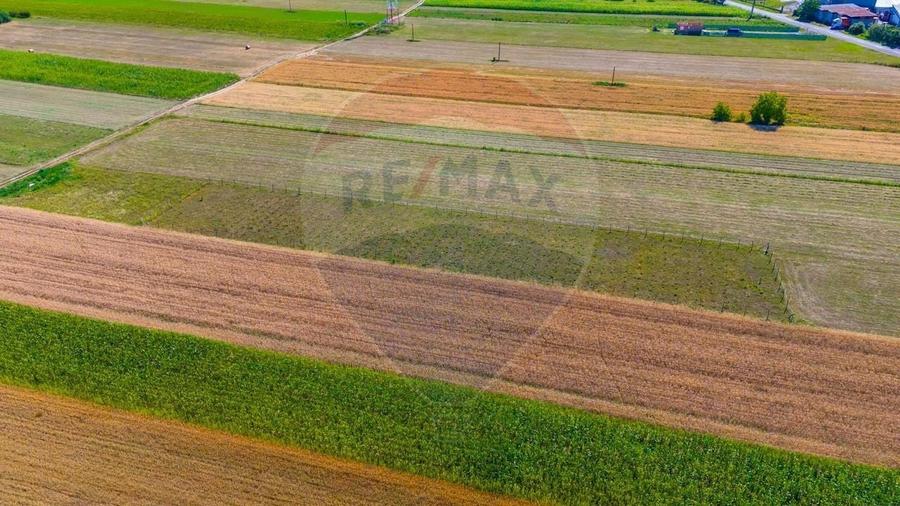 Teren agricol extravilan de 7000 mp, în Teliu