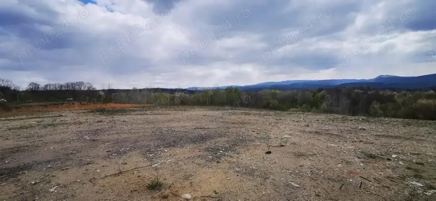 Teren de 26500 mp, în Calea Caransebeșului