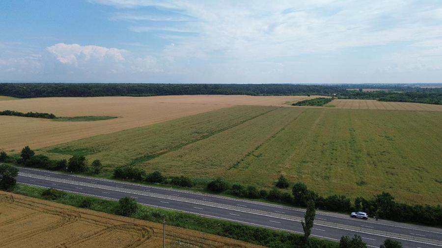 Teren agricol intravilan de 45120 mp, în Ciolpani