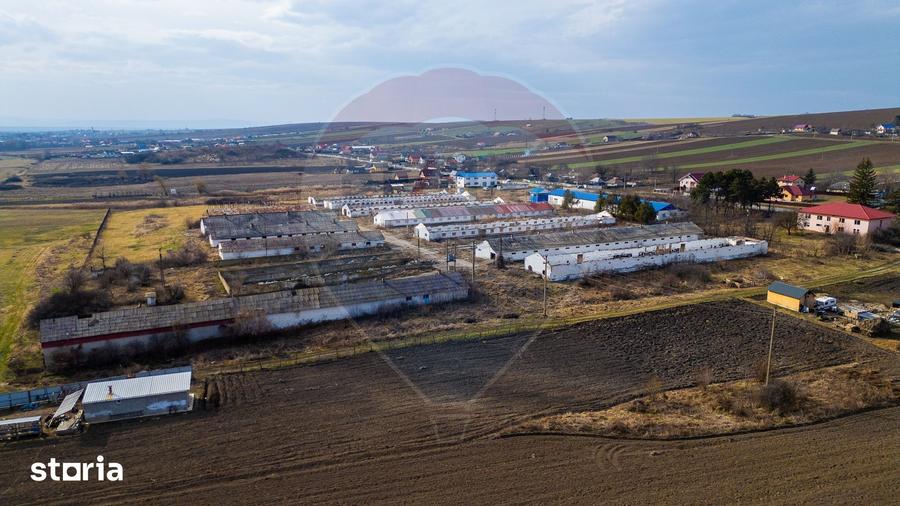 Teren de 39600 mp, în Traian