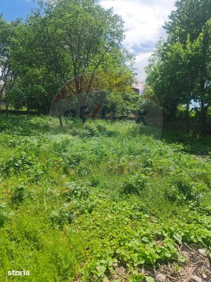 Spațiu comercial, de 1,650 mp, în Baia de Fier