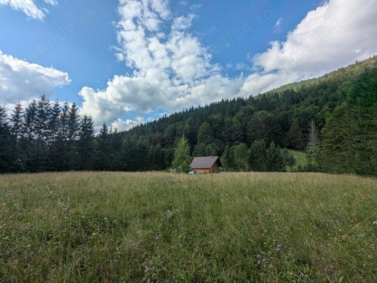 Teren de 9172 mp, în Pintic