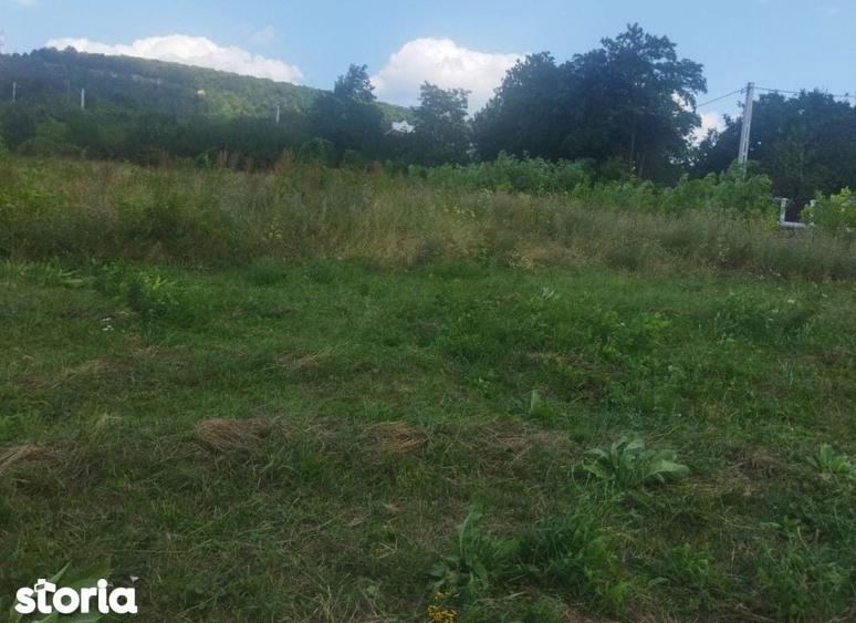 Teren de 562 mp, în Bârnova