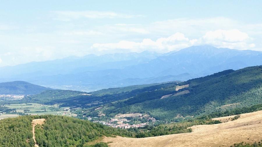 Teren Construcții intravilan de 2938 mp, în Sadu