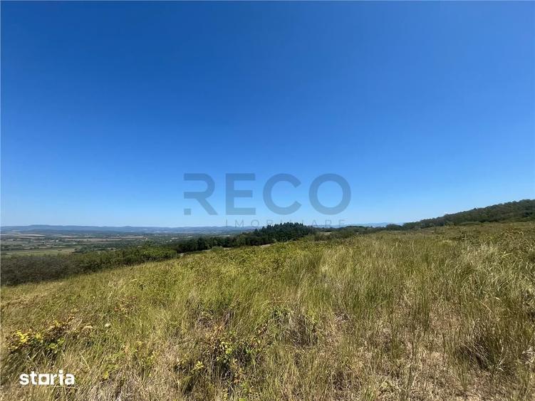RECO Teren extravilan Holod 27400 mp - 7