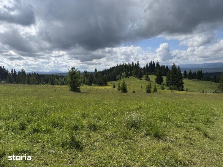 Teren de 18980 mp, în Dorna Candrenilor