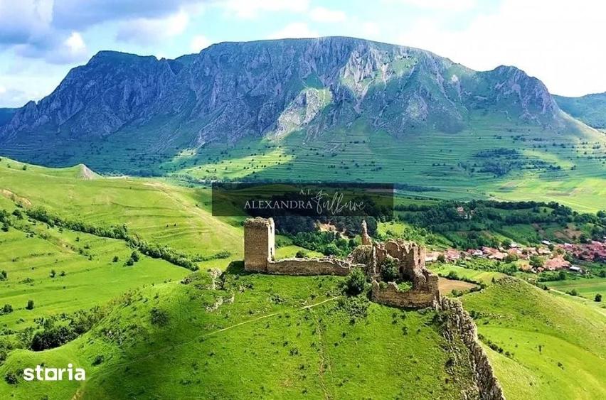 Teren de 9000 mp, în Fărău