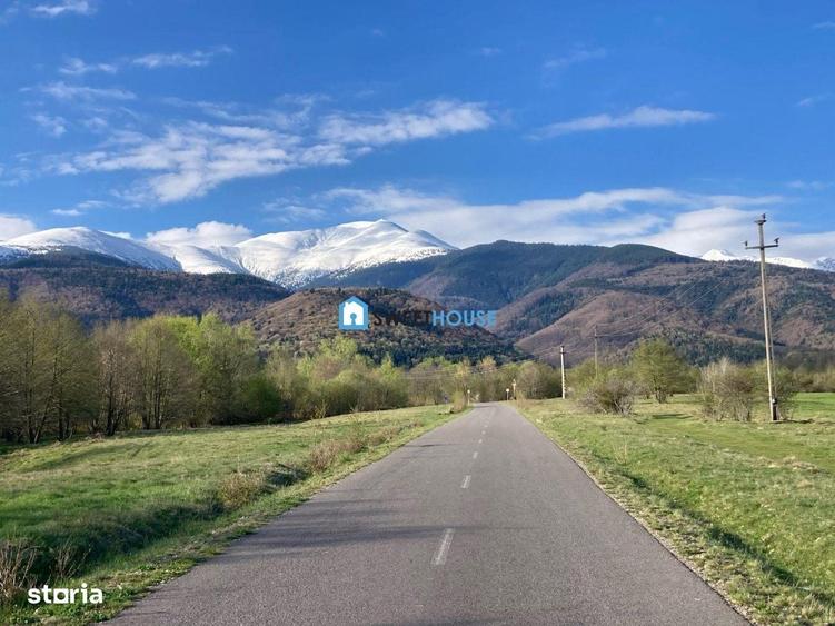 Spațiu comercial, în Lisa
