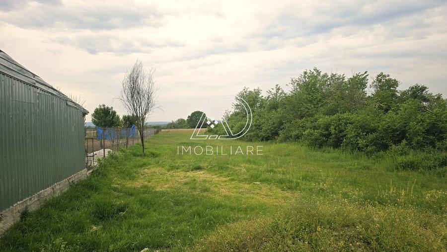 Teren Construcții intravilan de 2444 mp, în Tălpășești