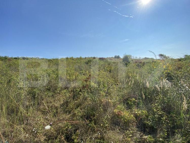Teren Construcții intravilan de 8200 mp, în Aghireș