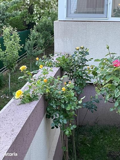 Apartament 3 cam Decomandat Mobilat Utilat, Metrou Aparatorii Patriei - 1