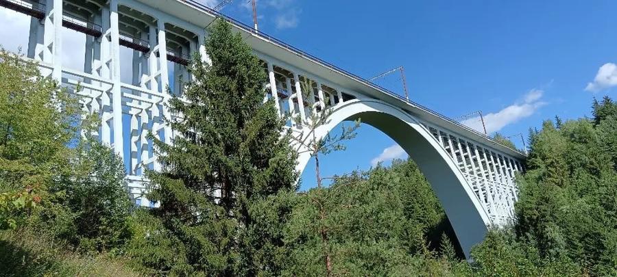 Vand casa de vacanta cu gradina si teren 4000mp Livezi Harghita - 3