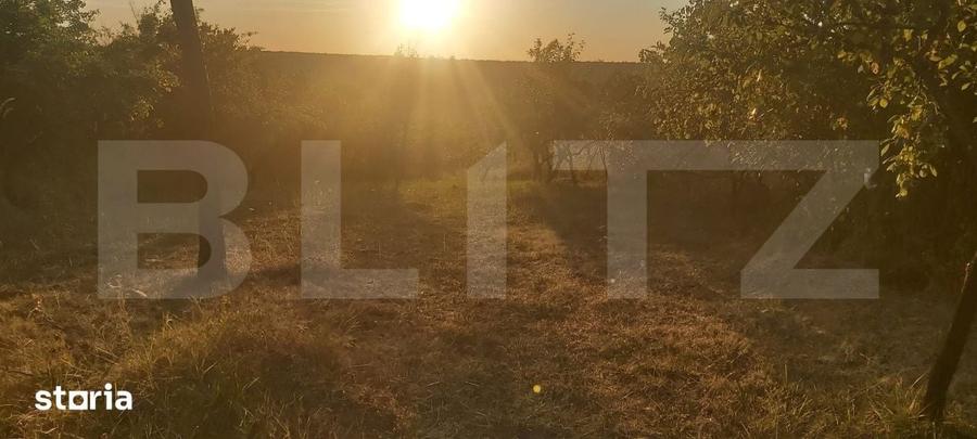Teren de 2493 mp, în Cobia