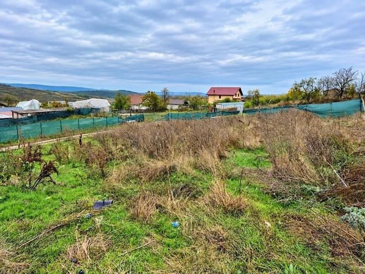 Teren Construcții intravilan de 686 mp, în Miroslava