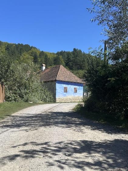 Casa traditionala la Valea Zalanului - 8