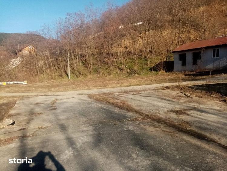 Teren de 7432 mp, în Sebeșel