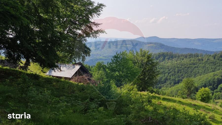 Teren de 128948 mp, în Negreni