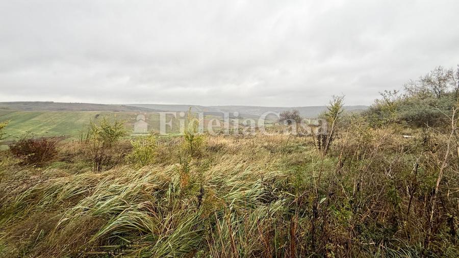 Teren de 3480 mp, în Popricani