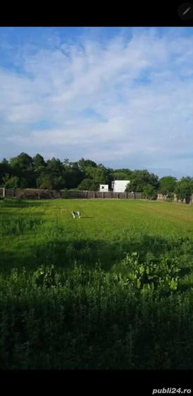 Casă cu 3 camere cu Teren 5000 Mp în Mozăceni