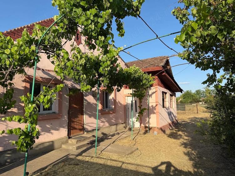Casă cu Teren 1300 Mp în Iecea Mare